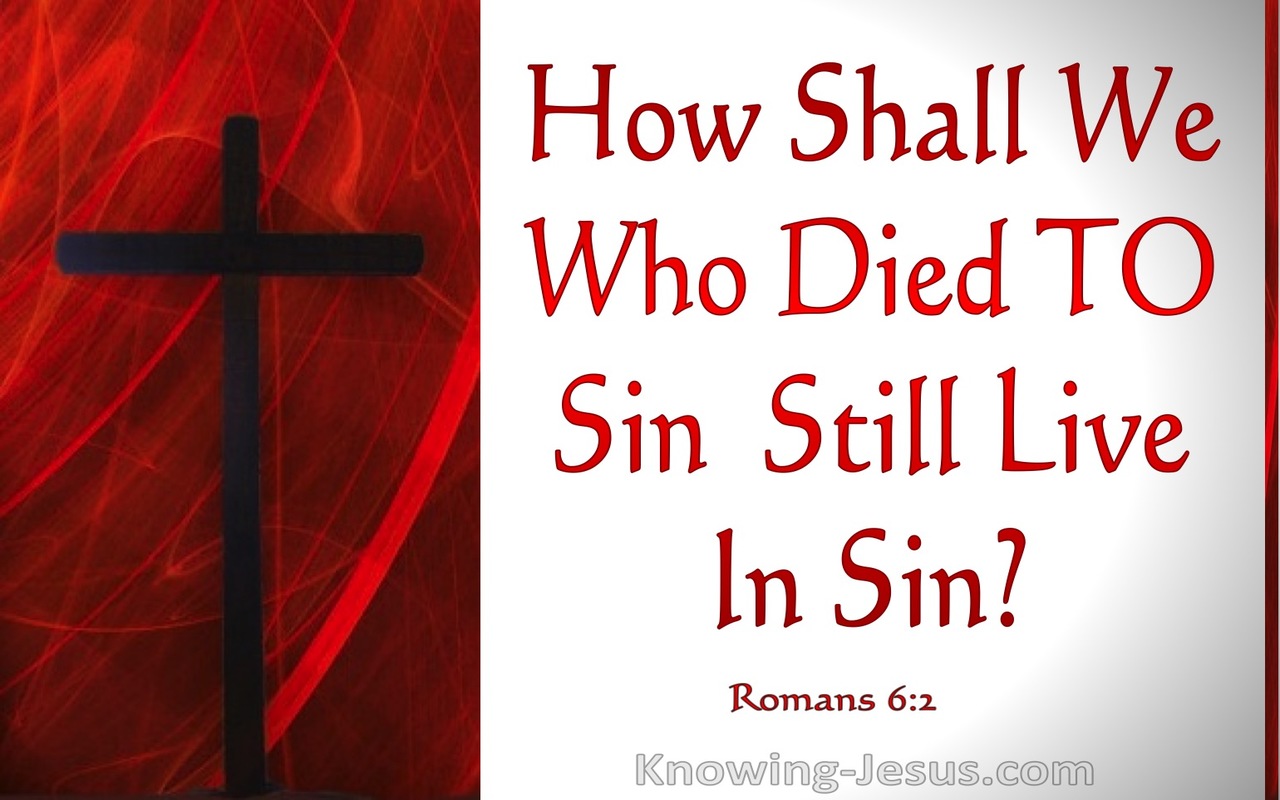 Romans 6:2 Dead To Sin (devotional)11-02 (red)